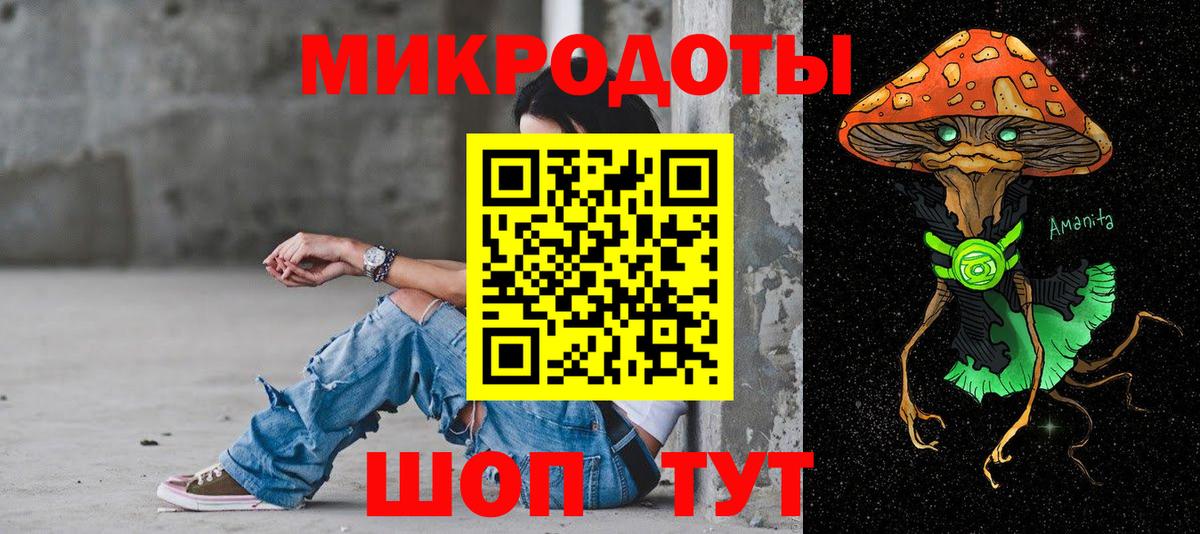 Псилоцибиновые грибы Cubensis Лабинск