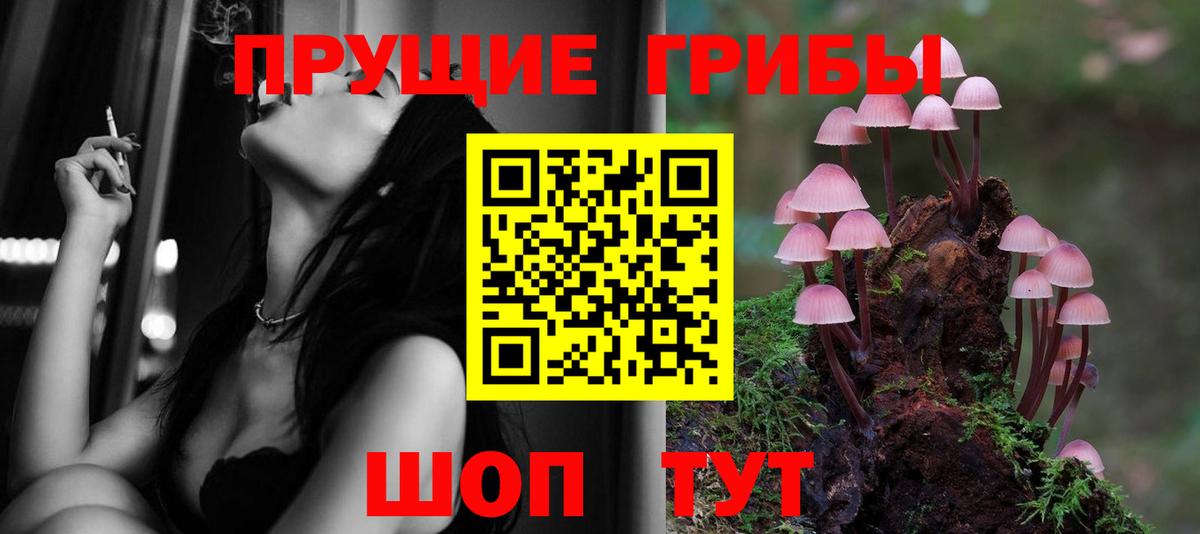 Галлюциногенные грибы Psilocybine cubensis  Галлюциногенные грибы Magic Shrooms  Лабинск  Вход с VPN 